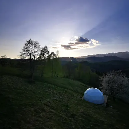 Glamping Zazen