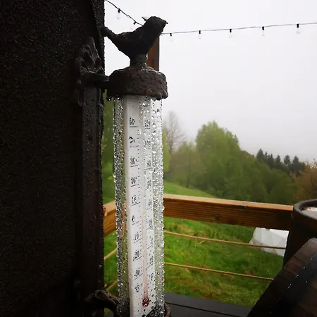 Cort de lux Glamping Zazen *